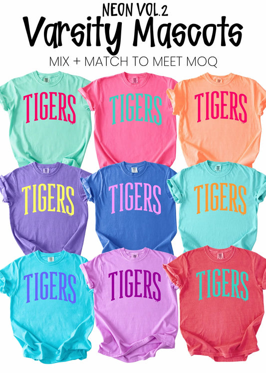 Colorful Mascot Zebras