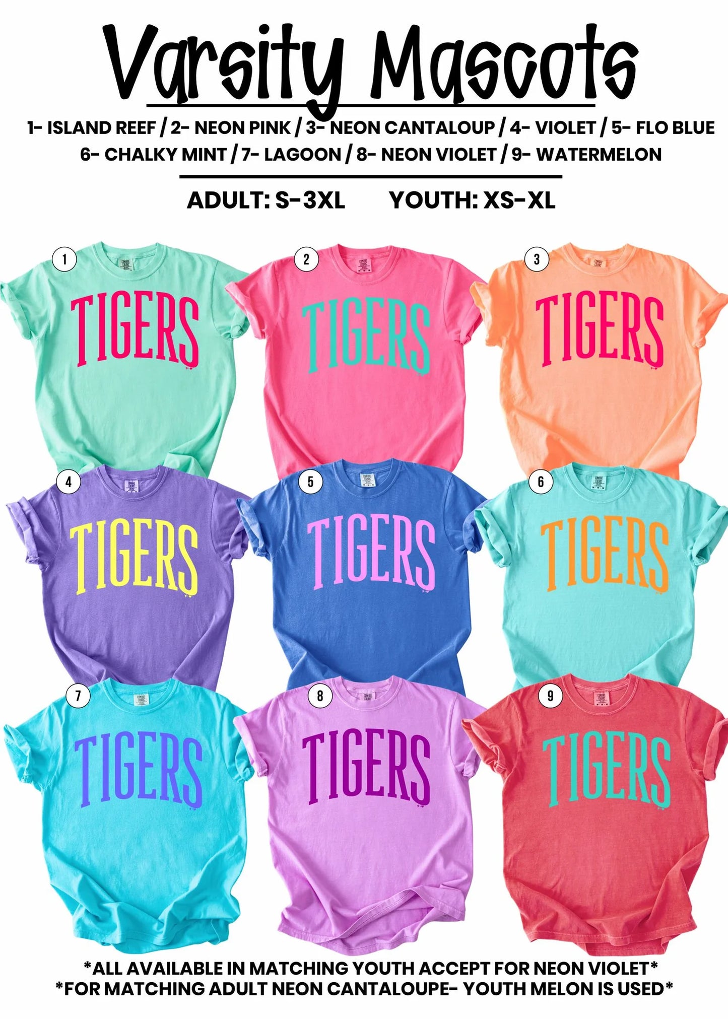 Colorful Mascot Zebras