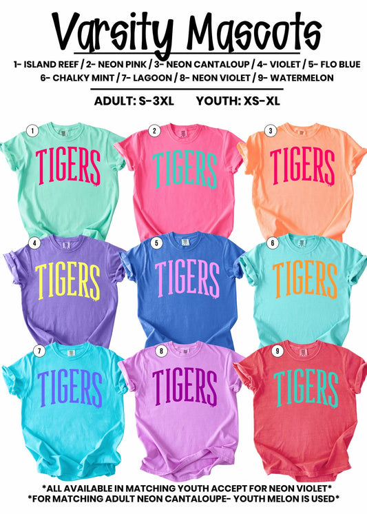 Colorful Mascot Zebras